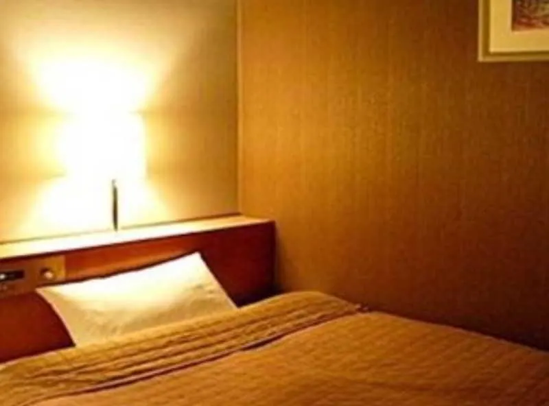 HOTEL LiVEMAX BUDGET Hiratsuka Ekimae 2*,