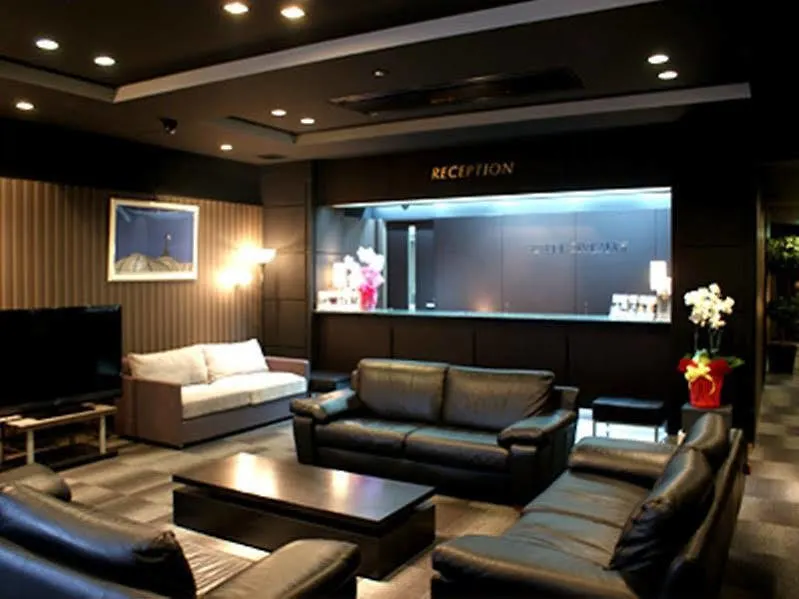 HOTEL LiVEMAX BUDGET Hiratsuka Ekimae 2*,  Japan